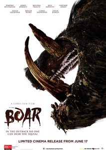 boar poster