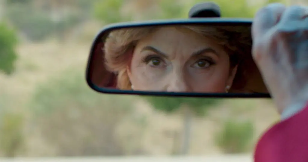 Seeing Allred - Gloria Allred - Netflix - Review