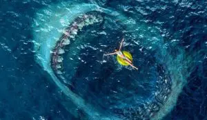 The Meg Review