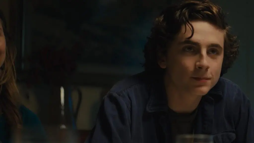 Beautiful Boy Review