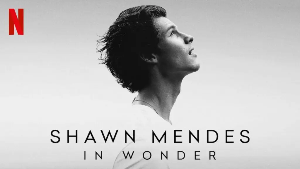 Shawn Mendes: In Wonder review - there's something holding this back