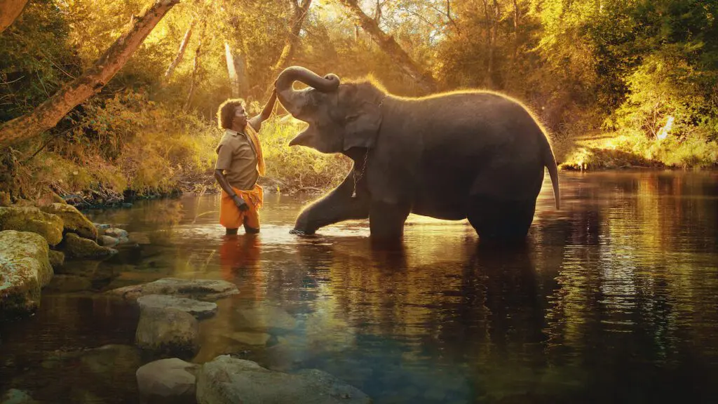 the-elephant-whisperers-review-netflix