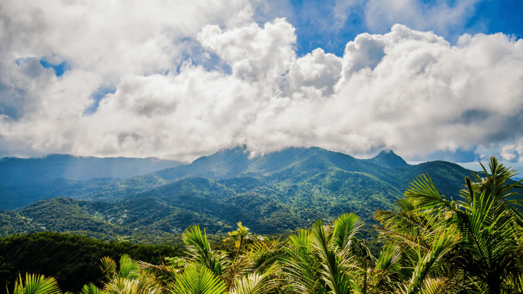 El Yunque National Forest