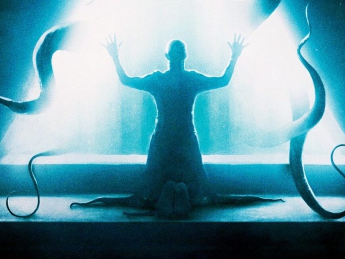 Review The Void Ready Steady Cut