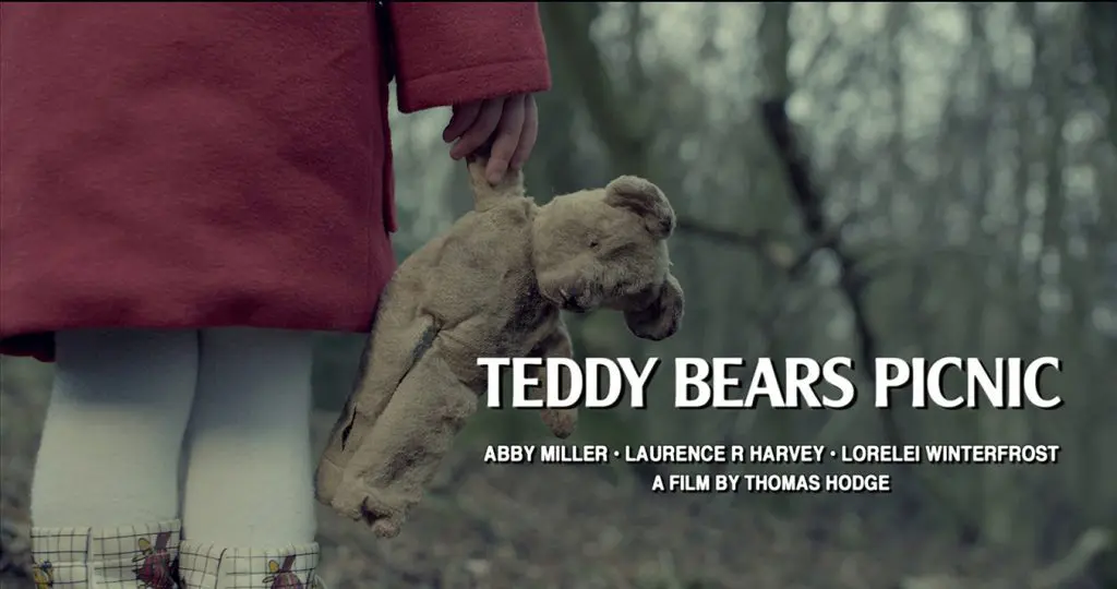 Teddy Bears Picnic Review