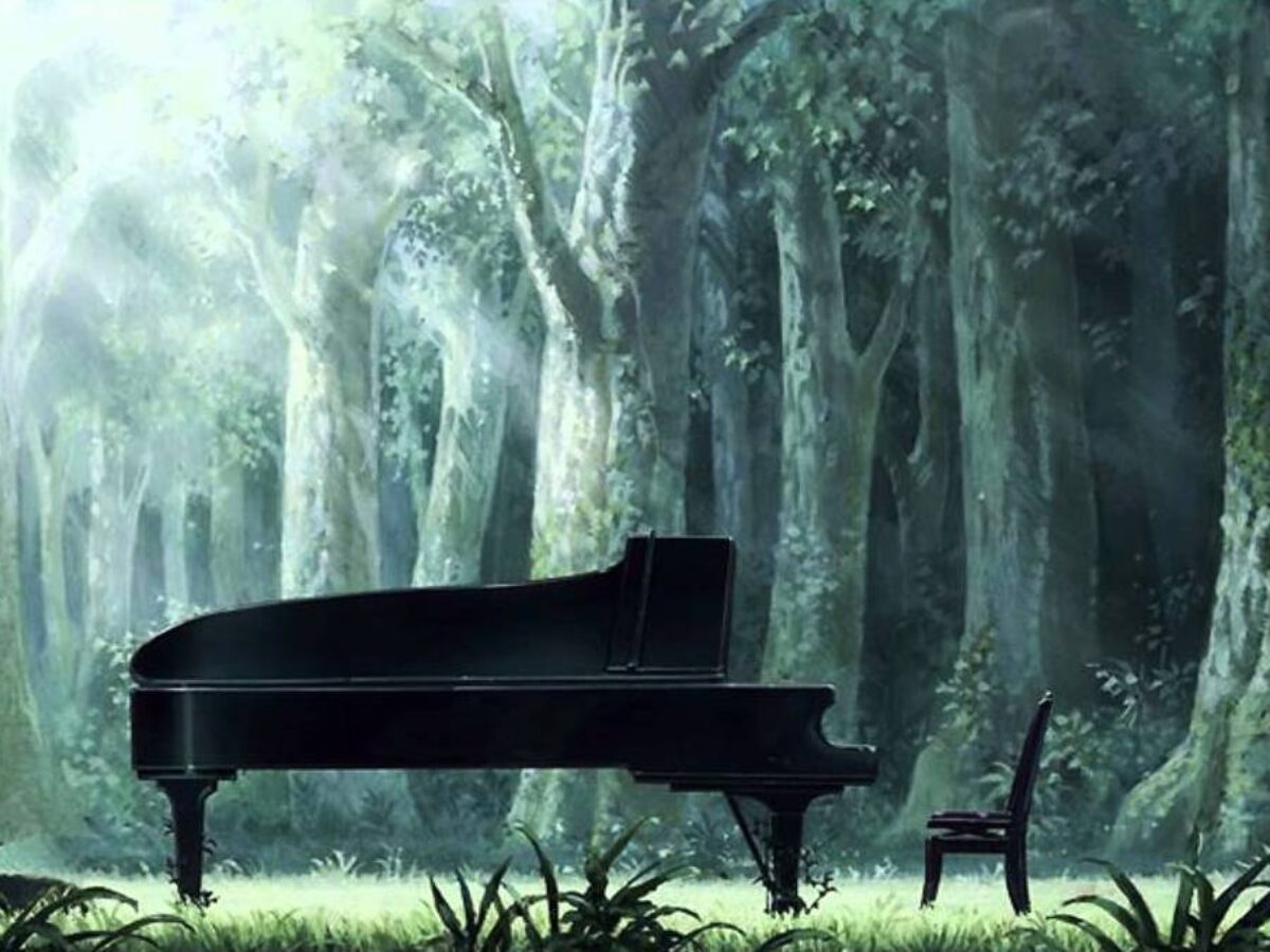 Forest Of Piano Piano No Mori Netflix Anime Series Review
