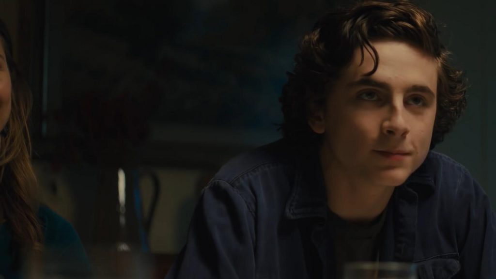 Beautiful Boy Review