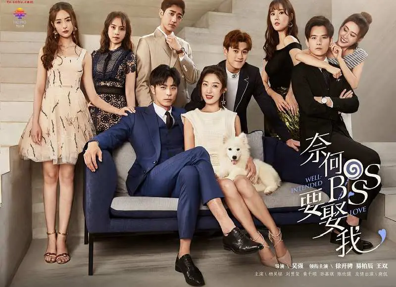 Chinese Netflix Series Well-Intended Love / Boss Wants to Marry Me season 1