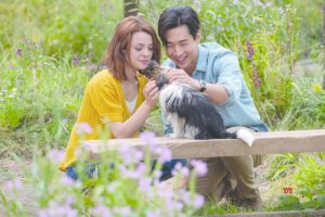 A Dog's Journey Film Review