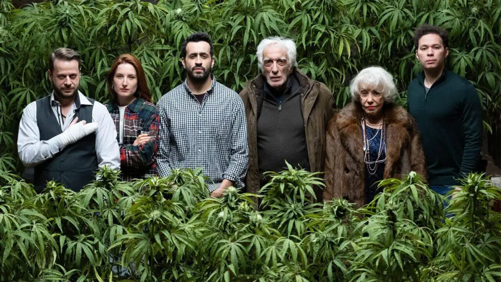 Family Business season 2 review - selling weed remains hilarious in this French comedy series
