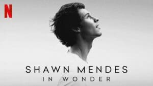 Shawn Mendes: In Wonder review - there's something holding this back