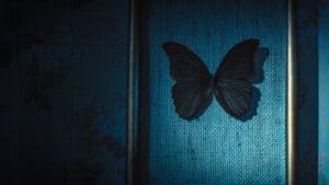 black-butterflies-release-date