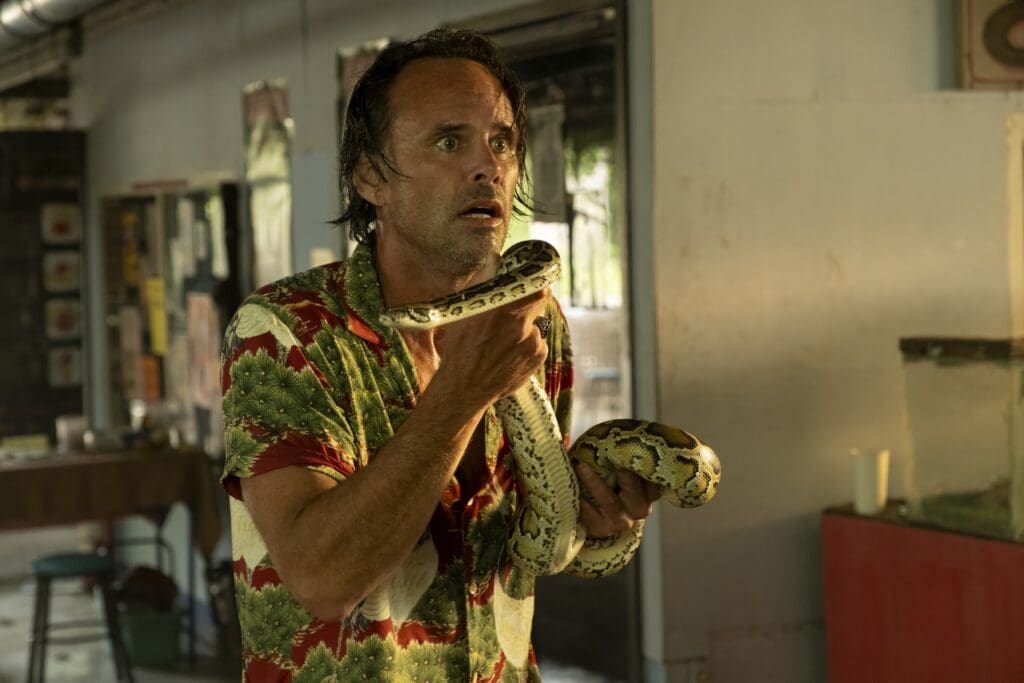 Walton Goggins in The White Lotus Season 3