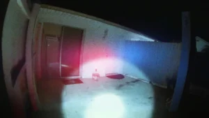 The Perfect Neighbor Key Art